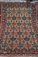 Persian Bakhtiari | FT 4963