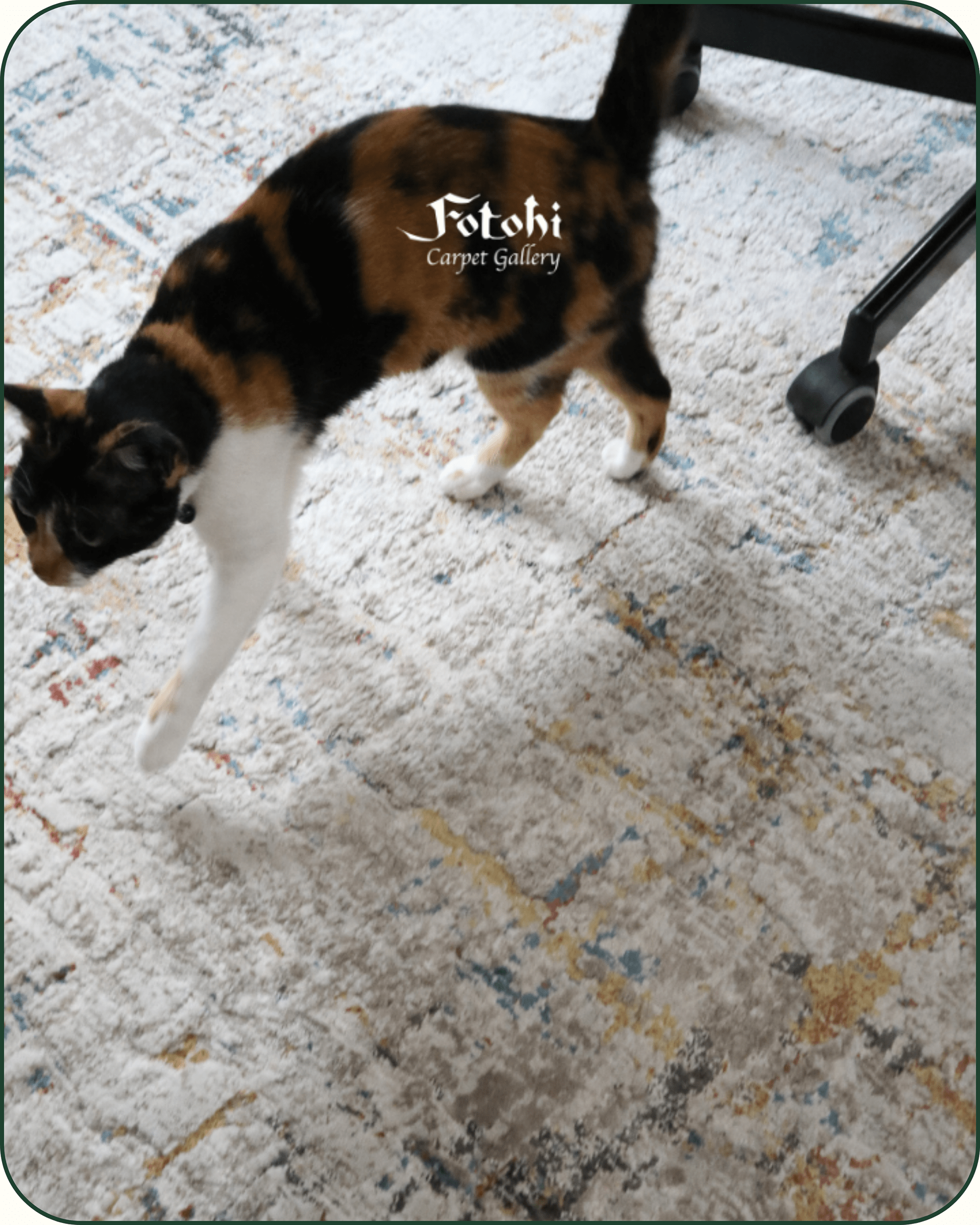 Fotohi Carpet Gallery