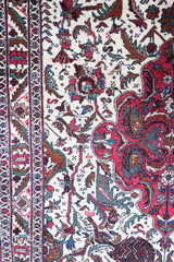 Persian Ferdows-Balooch | FT 2280