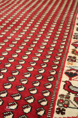 Persian Qashqai | FT 2720