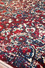 Savis | Red | SA83-B